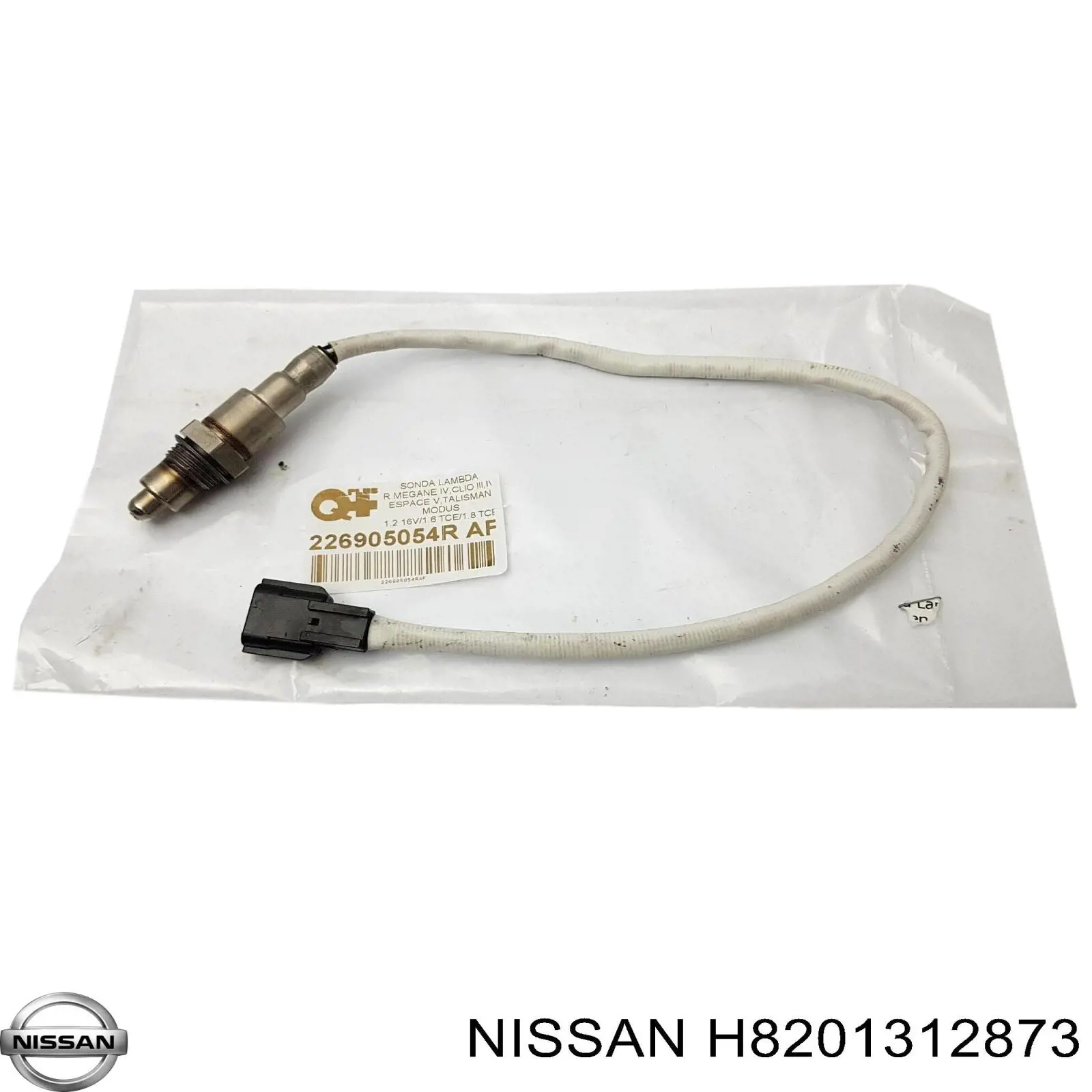 Купити 8201312873 Renault (RVI) 