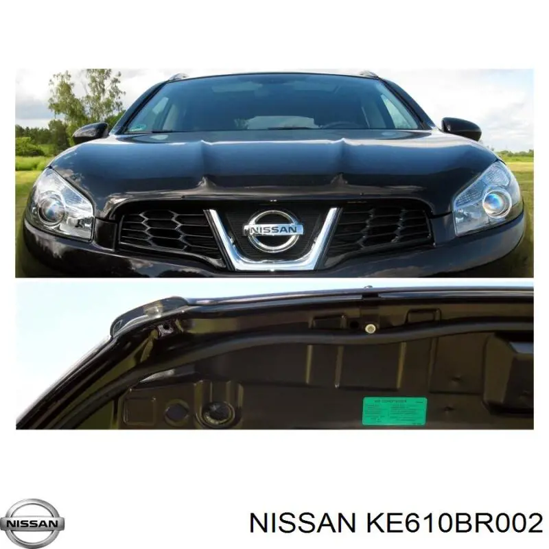 Купити KE610BR002 Nissan/Infiniti Захист капота