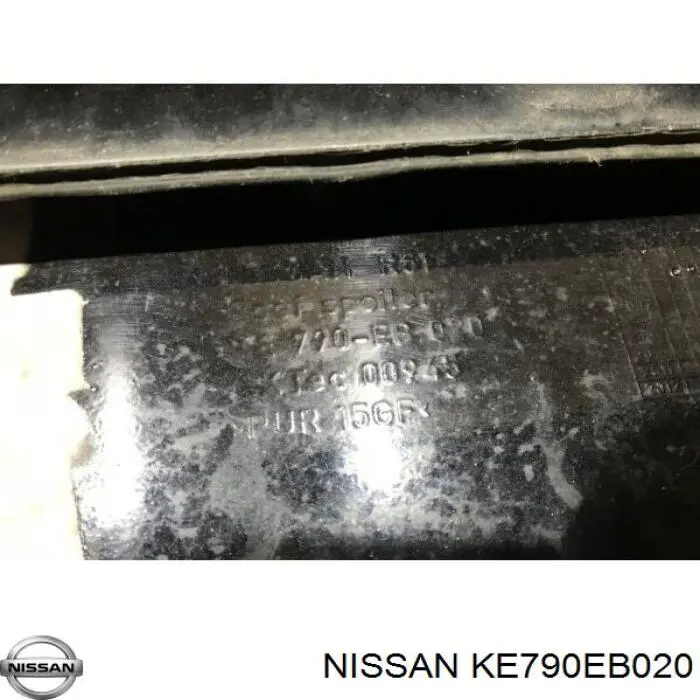 Спойлер 3/5-й, задніх дверей Nissan Pathfinder (R51M) (Нісан Патфайндер)