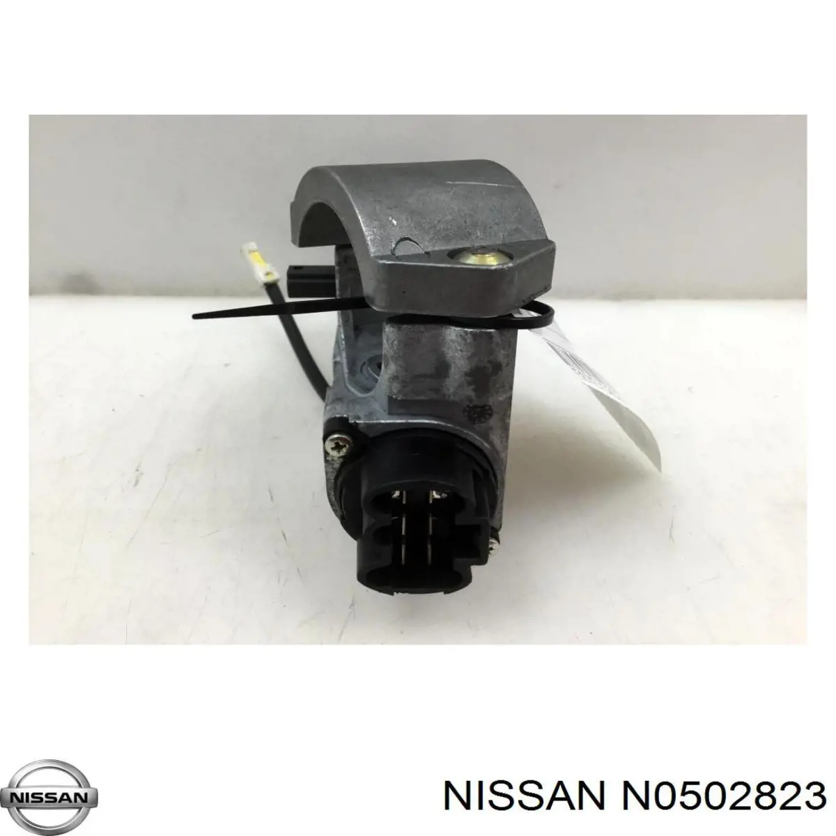  Nissan/Infiniti N0502823