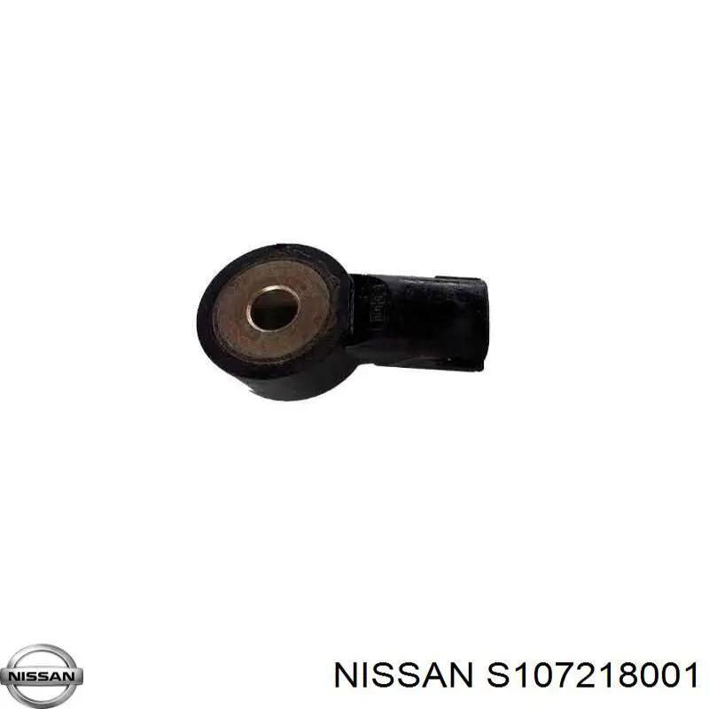  S107218001 Nissan