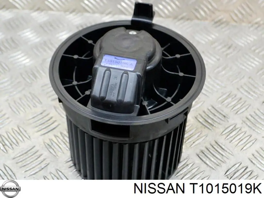 T1015019K Nissan/Infiniti 
