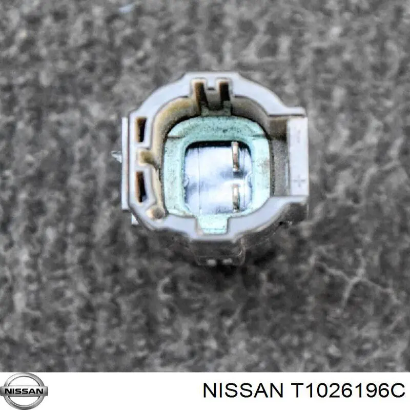  Nissan/Infiniti T1026196C