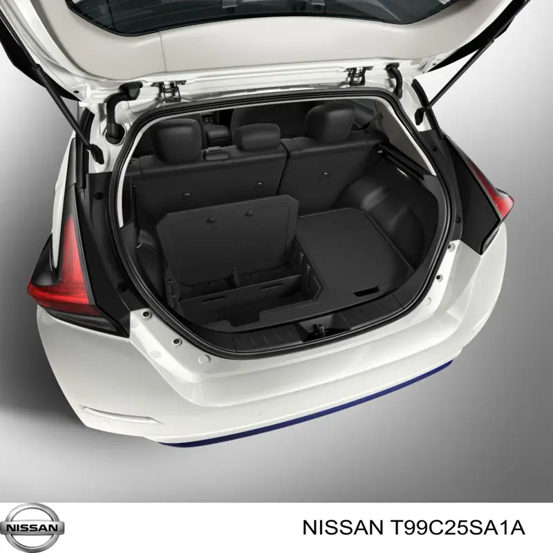  T99C25SA1A Nissan/Infiniti