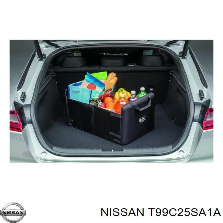  Nissan/Infiniti T99C25SA1A ціна, від 172.54 USD