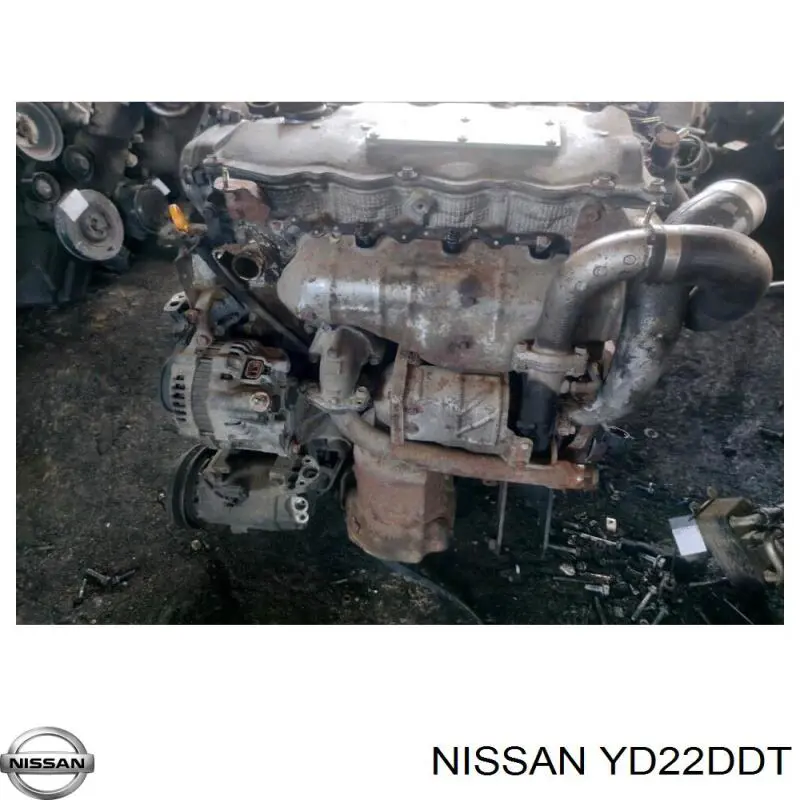 Купити YD22DDT Nissan/Infiniti Двигун