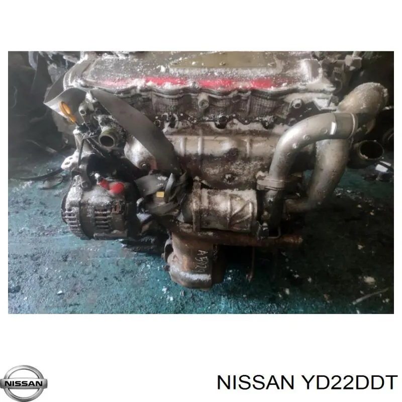 YD22DDT Nissan двигун у зборі