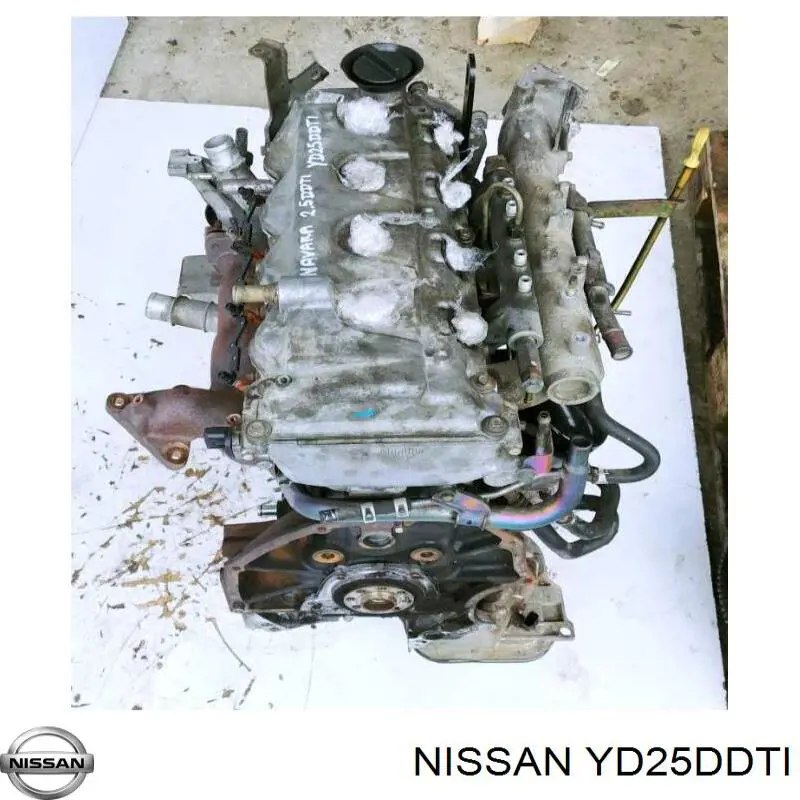 ДВЗ Nissan Navara NP300 III пікап (D40) (2004 - 2015) ціна, від 2239.81 USD