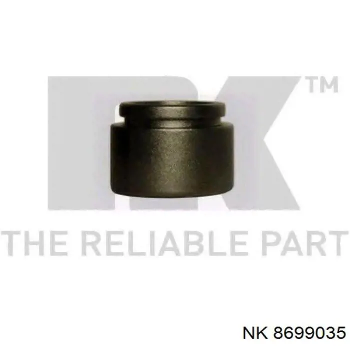 RK83030 Goodrem Поршень гальмівного супорта переднього