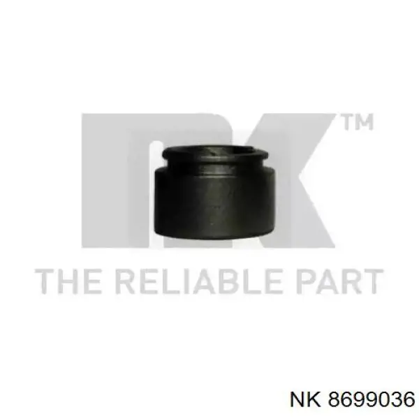 Купити RK815360 Goodrem Поршень супорту гальмівного, заднього