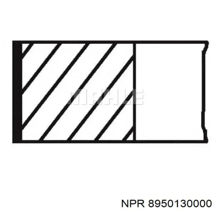 8950130000 NE/NPR Кільця поршневі на 1 циліндр, STD.