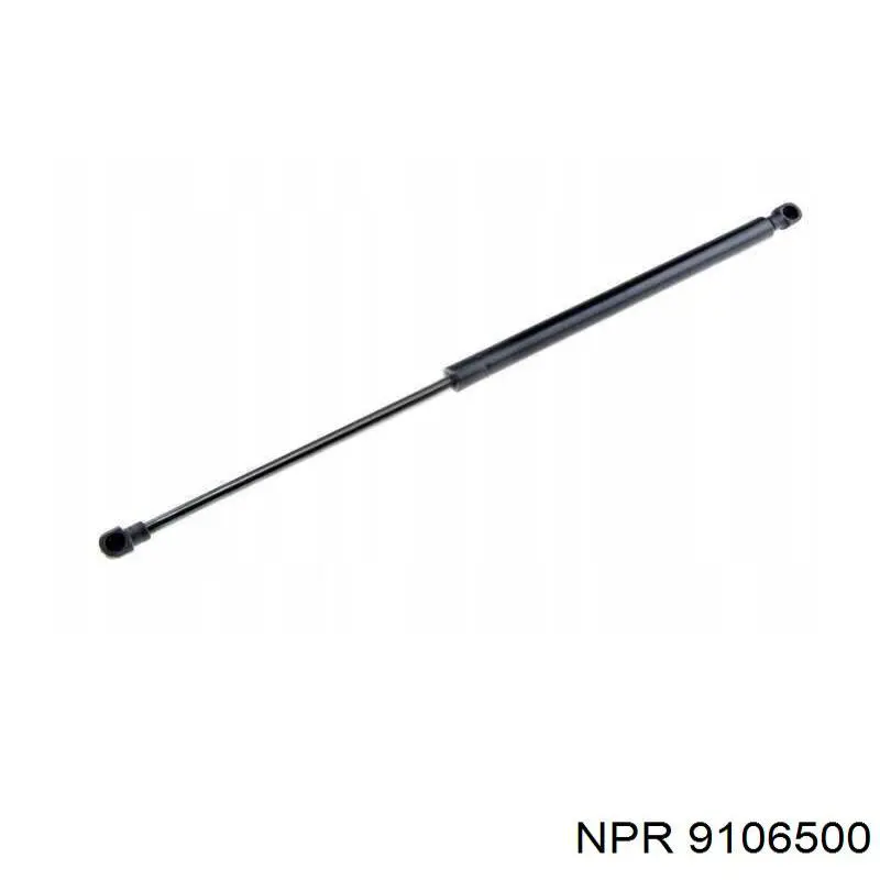 9106500 NE/NPR кільця поршневі на 1 циліндр, std.