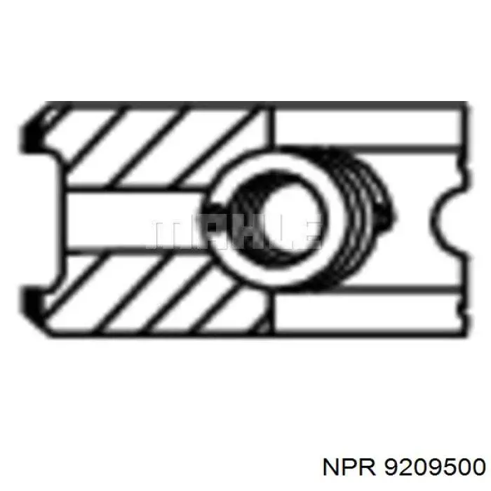 9209500 NE/NPR Кільця поршневі на 1 циліндр, STD.