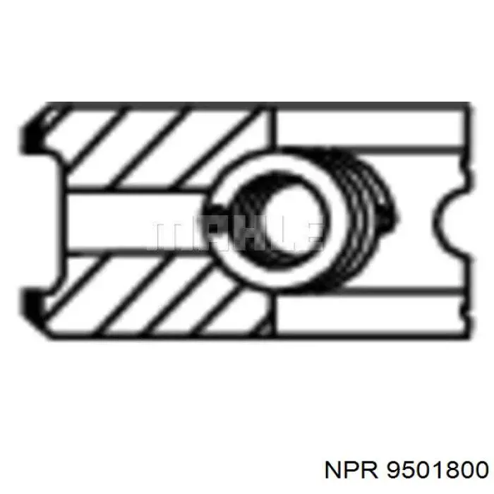 9501800 NE/NPR кільця поршневі на 1 циліндр, std.