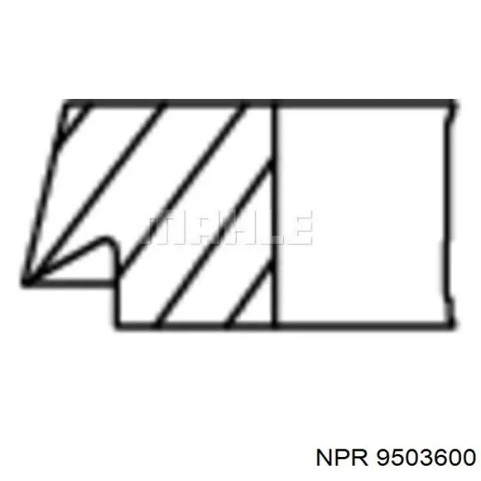 9503600 NE/NPR кільця поршневі на 1 циліндр, std.