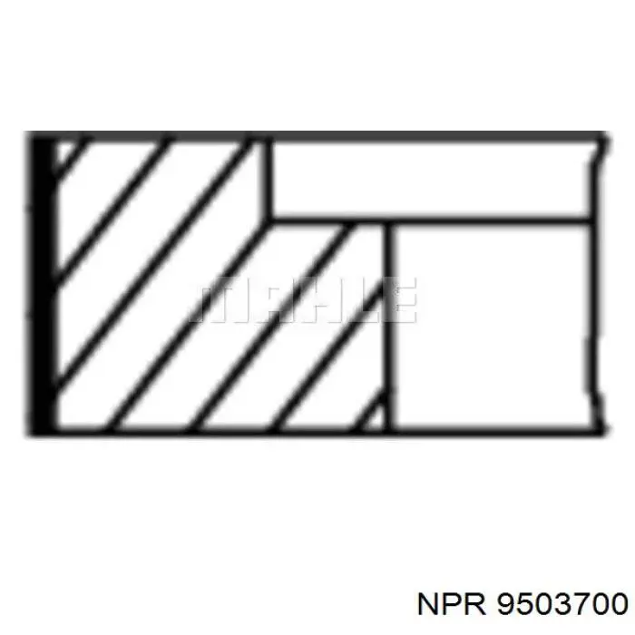 9503700 NE/NPR кільця поршневі на 1 циліндр, std.