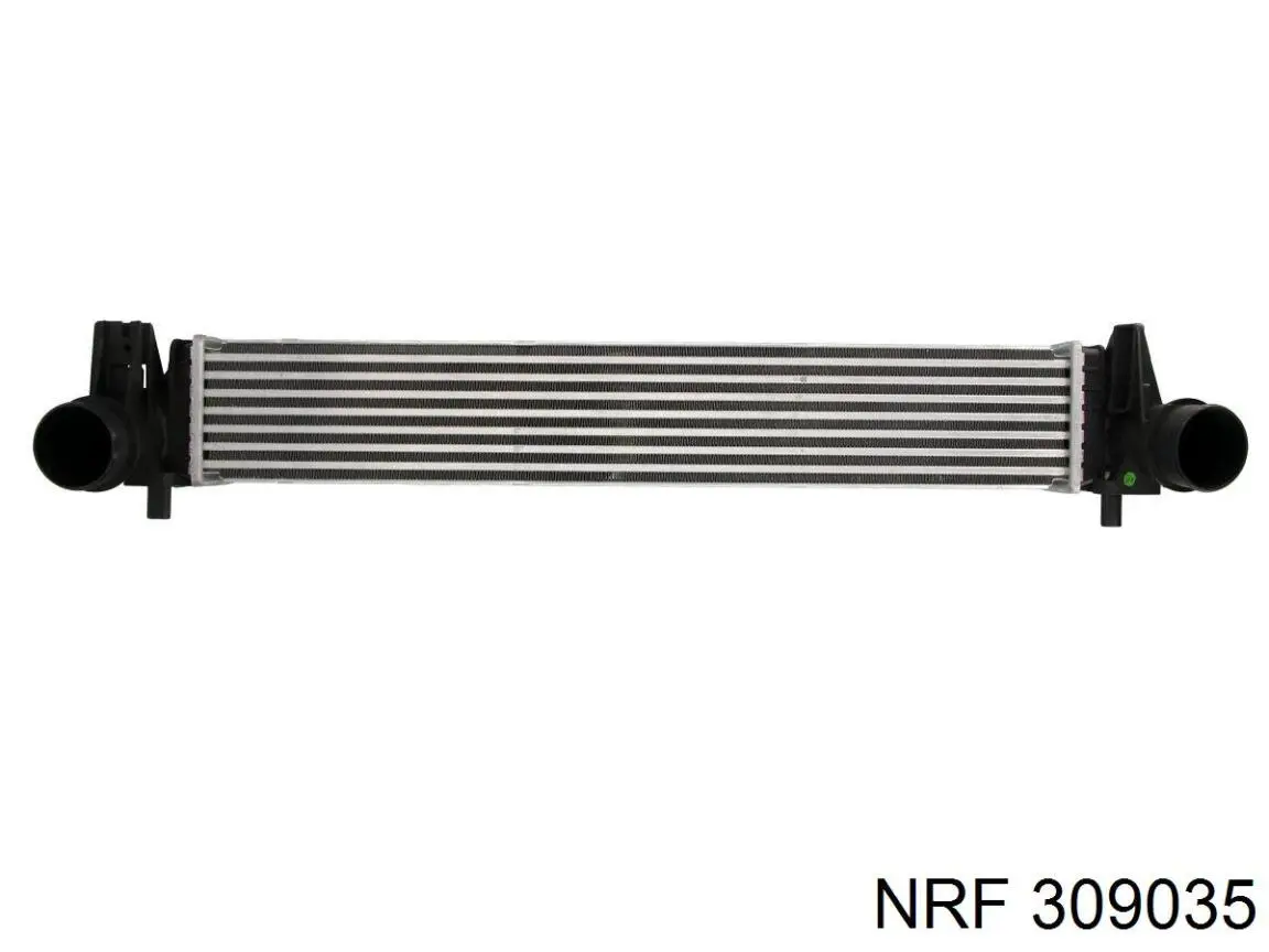  309035 NRF