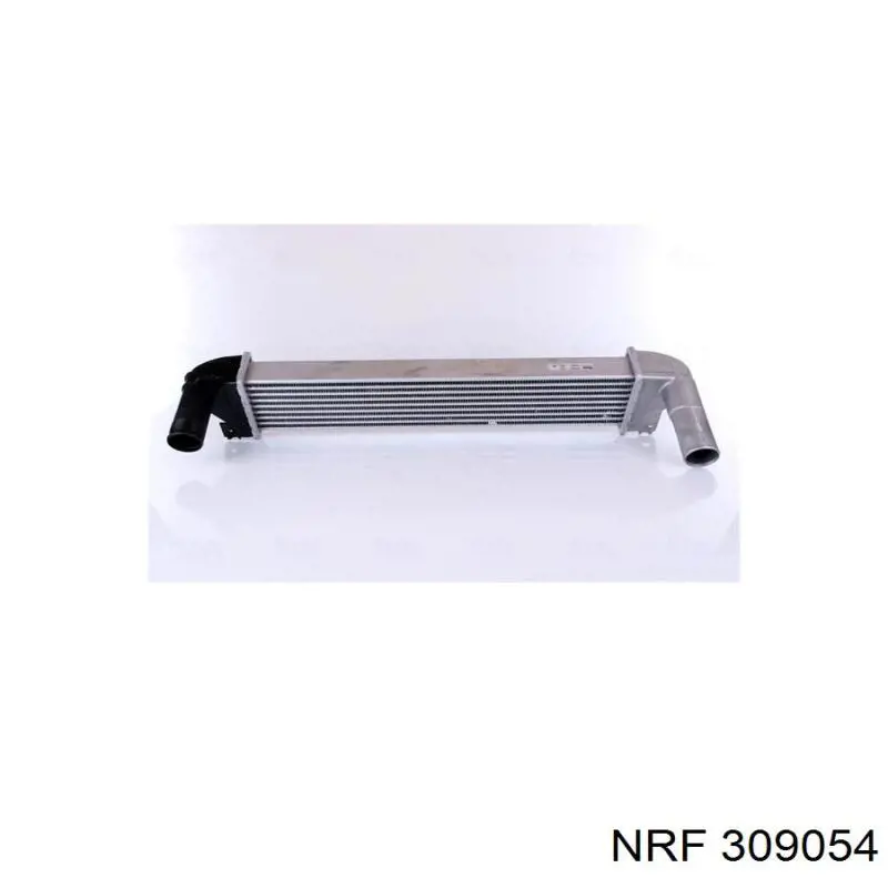  309054 NRF