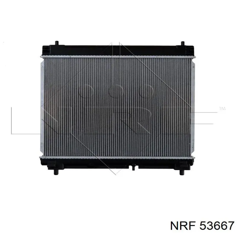 Купити RA64676Q Signeda Радіатор двигуна