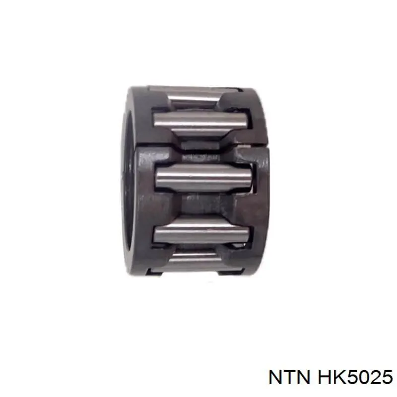  HK5025 NTN