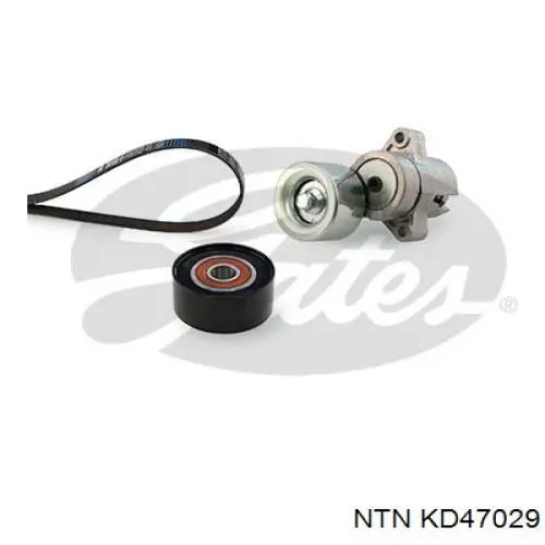 Купити KD47029 NTN ГРМ ремень