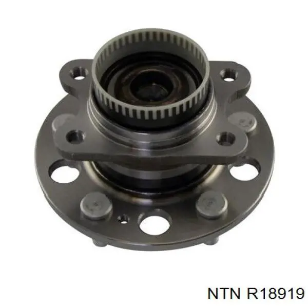 R18919 NTN Маточина задня