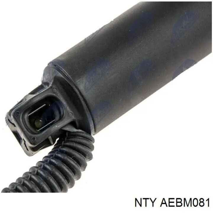 Купити AEBM081 NTY Амортизатор двері багажника
