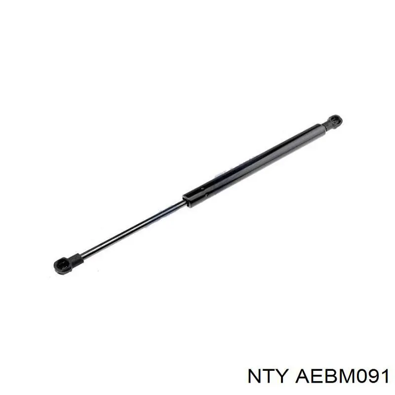 AEBM091 NTY Амортизатор кришки багажника / двері 3/5-ї задньої