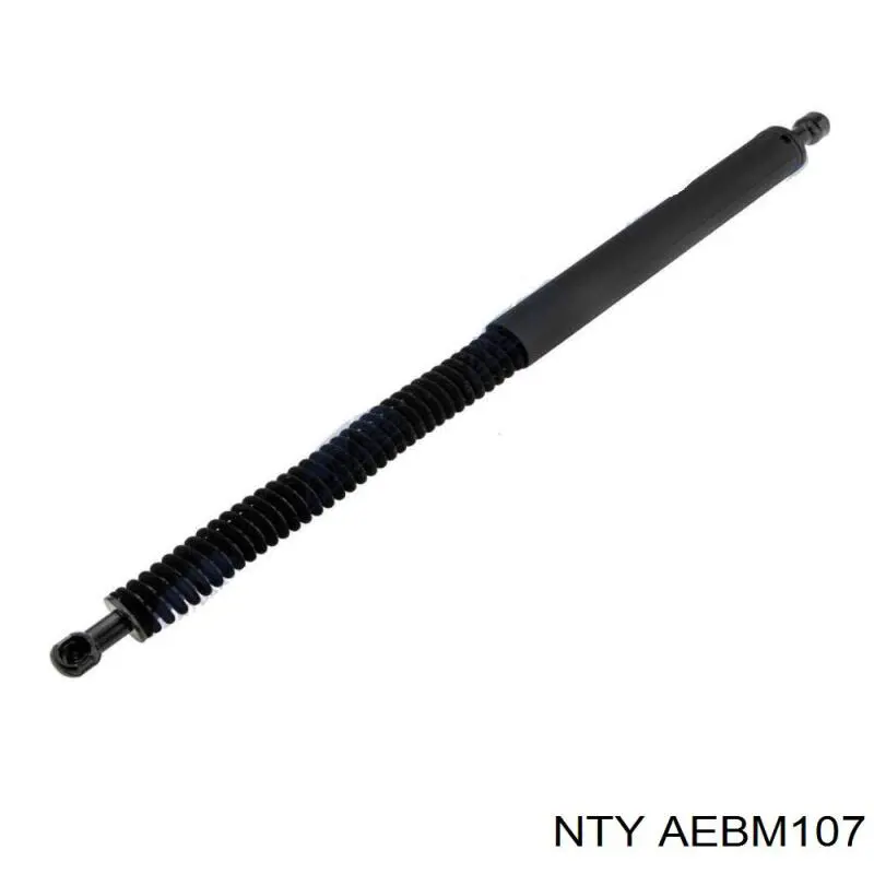 Купити AEBM107 NTY Амортизатор двері багажника