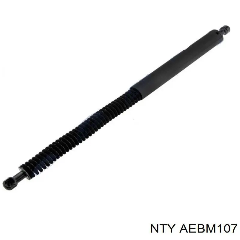 AEBM107 NTY Амортизатор кришки багажника / двері 3/5-ї задньої