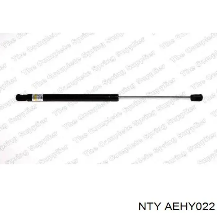 Амортизатор двері задньої NTY AEHY022 ціна, від 5.37 USD