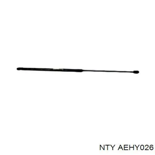 AEHY026 NTY Стійка капота