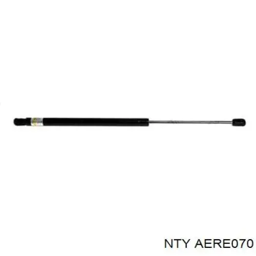 AERE070 NTY Амортизатор кришки багажника / двері 3/5-ї задньої