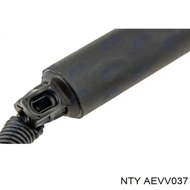 Амортизатор двері задньої NTY AEVV037 ціна, від 74.87 USD