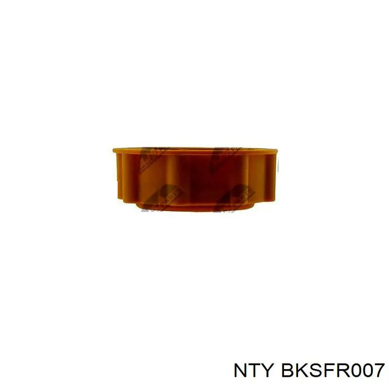 Купити BKSFR007 NTY Впускний колектор