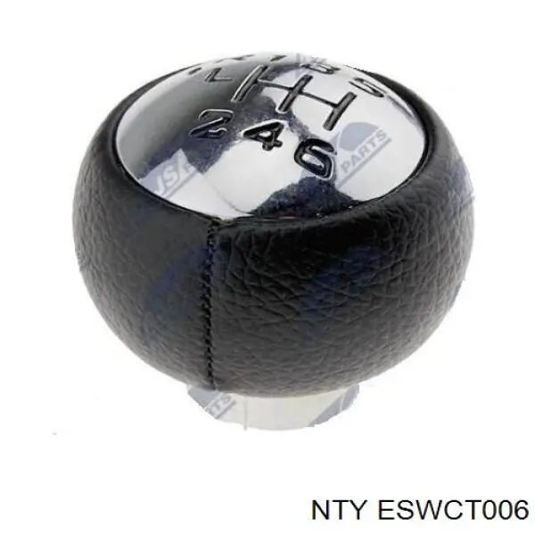  NTY ESWCT006
