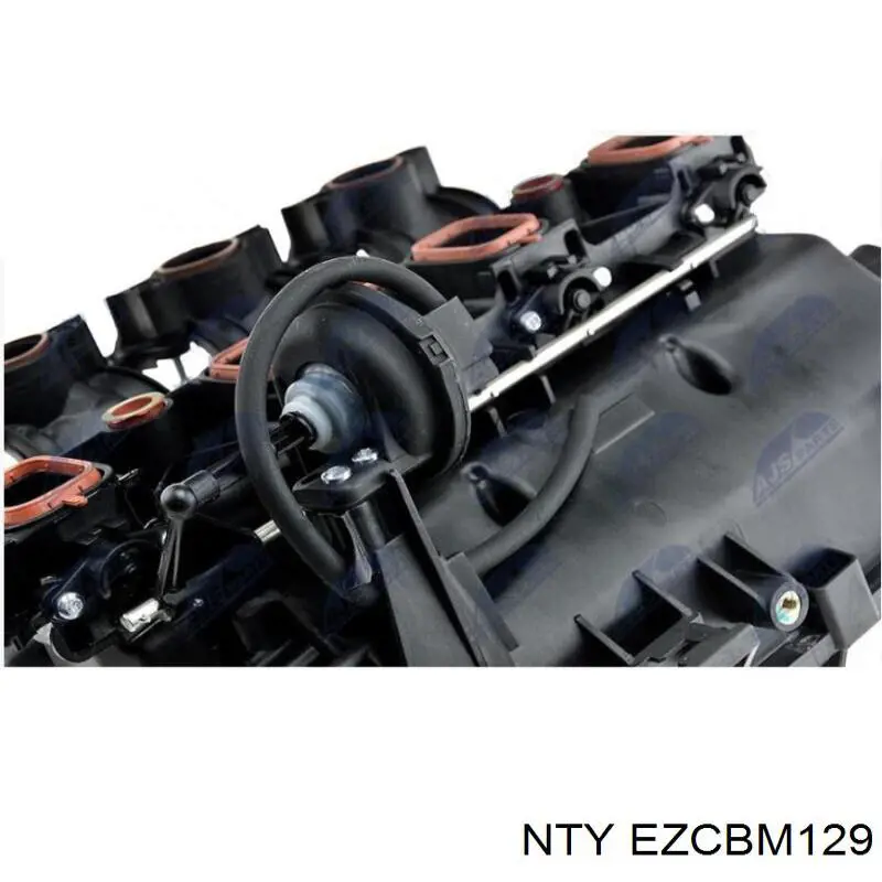  NTY EZCBM129