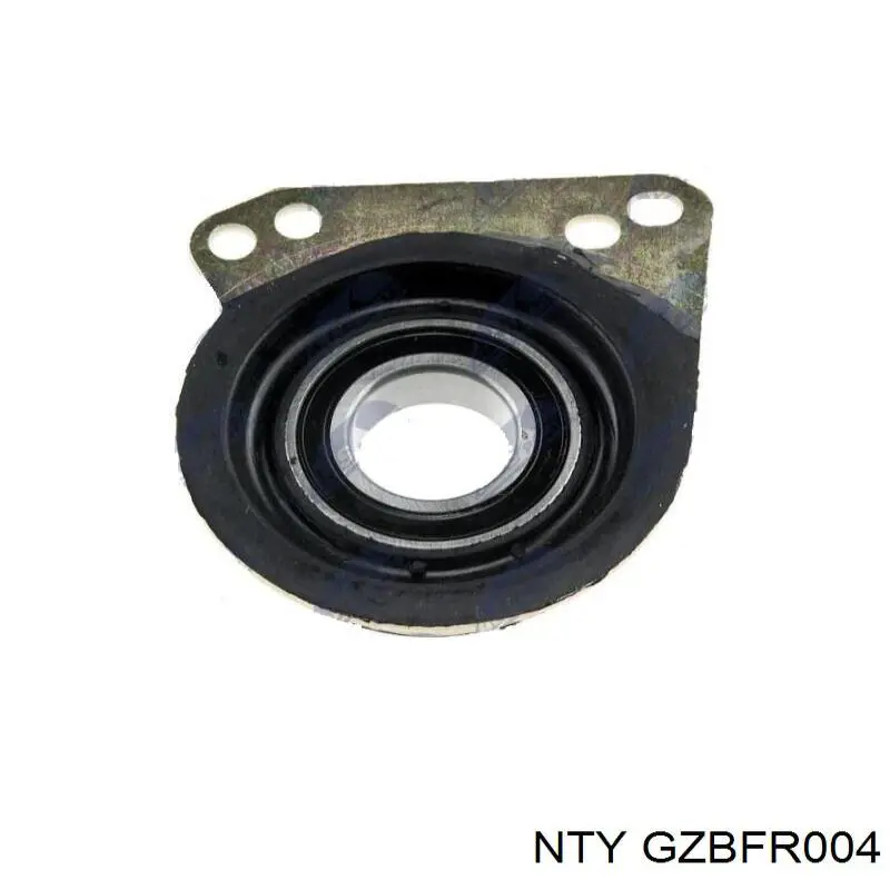  GZBFR004 NTY