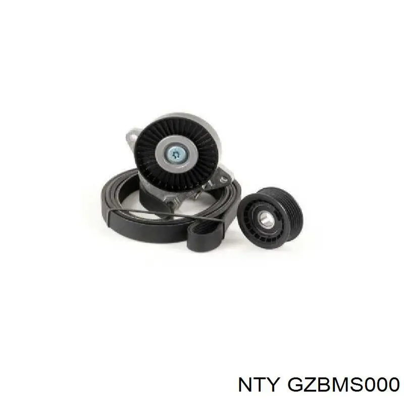  GZBMS000 NTY