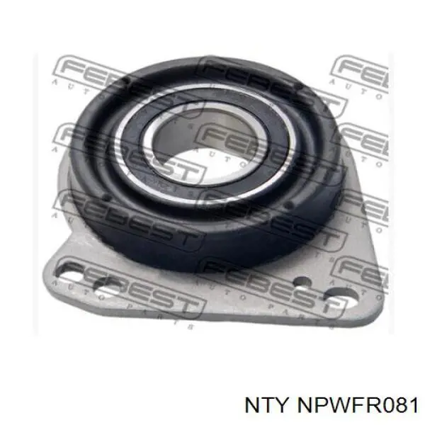  NPWFR081 NTY