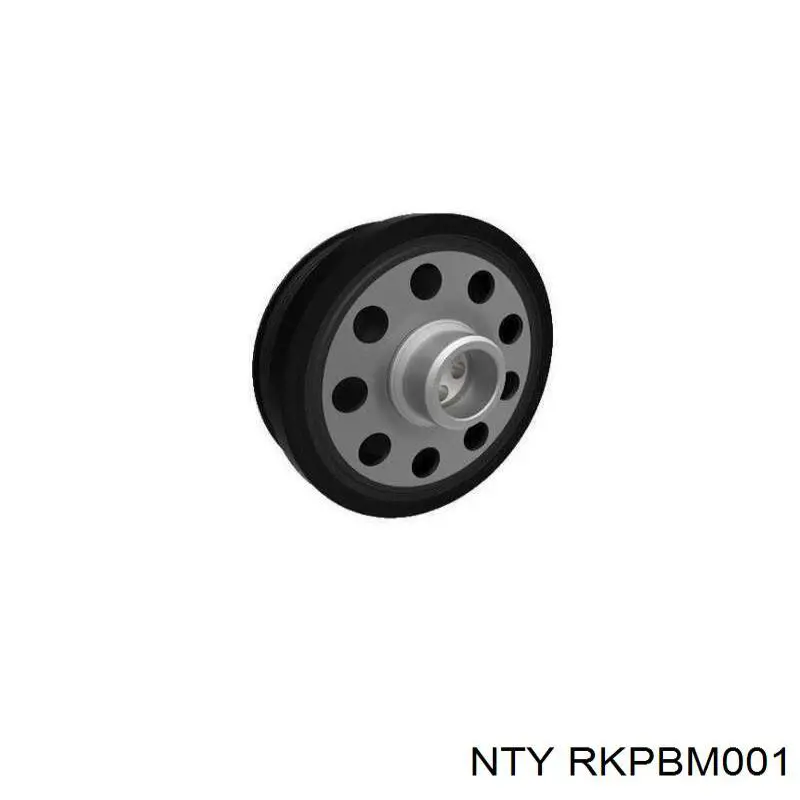 RKPBM001 NTY Демпфер колінвалу