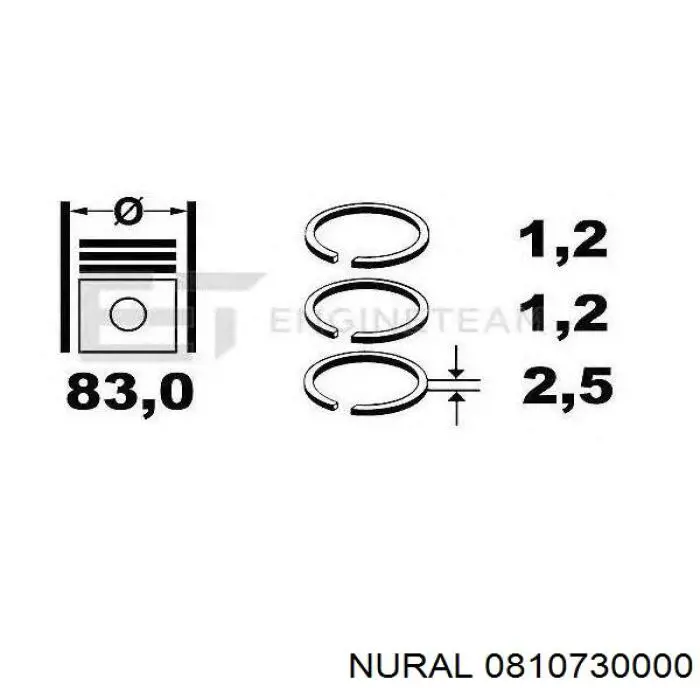0810730000 Nural кільця поршневі на 1 циліндр, std.