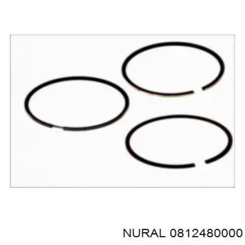 Поршні і шатуни Nural 0812480000 ціна, від 22.12 USD