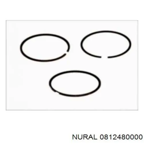 Купити 0812480000 Nural Маслоз'емні кільця, стандартні