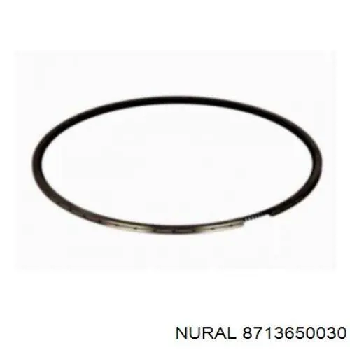Поршень в зборі Nural 8713650030 ціна, від 176.58 USD