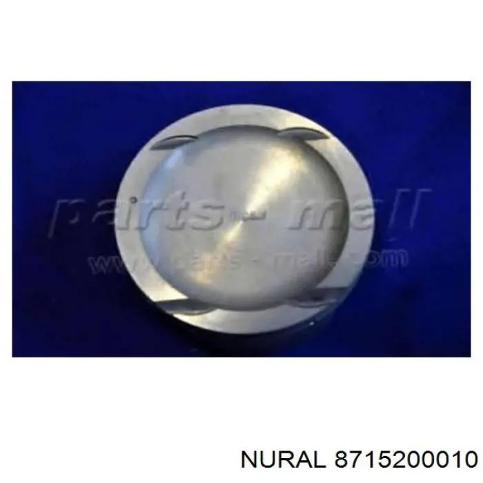 Купити 8715200010 Nural Поршень в комплекті на 1 циліндр, STD