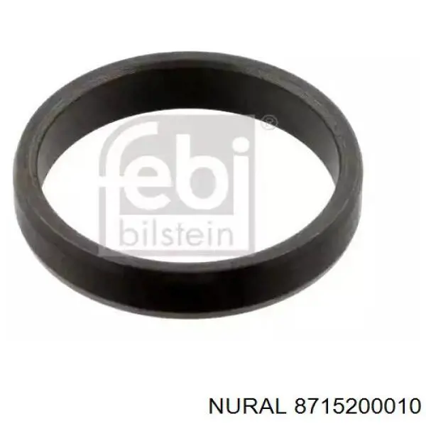 Поршень в зборі Nural 8715200010 ціна, від 52.42 USD