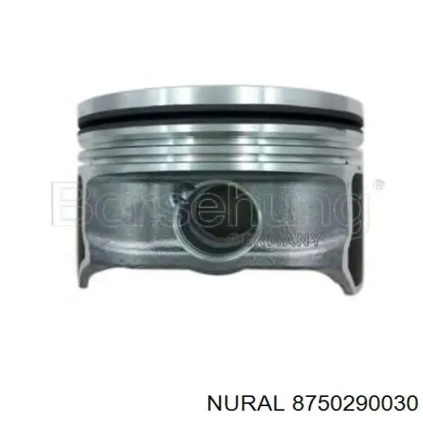 8750290030 Nural Поршня на 1 циліндр, STD