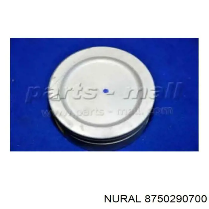 8750290700 Nural поршень в комплекті на 1 циліндр, 2-й ремонт (+0,50)
