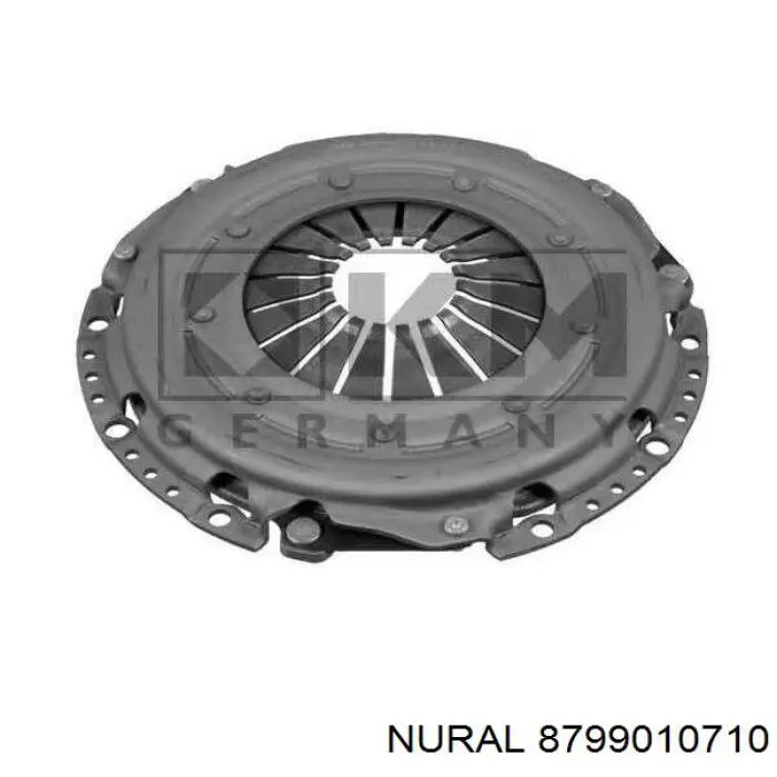 8799010710 Nural Поршень в зборі